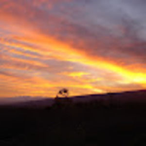 Meet your Posher, Shandiz